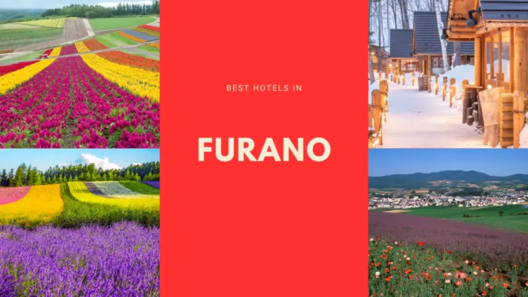 โรงแรมน่าจองในเมืองฟุราโนะ (Furano)