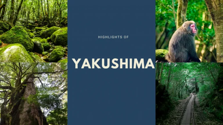 5 ที่เที่ยวเกาะยาคุชิมะ (Yakushima) และกิจกรรมที่ไม่ควรพลาด