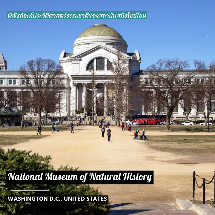 National Museum of Natural History ที่เที่ยว Washington DC